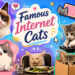 Famous internet cats2